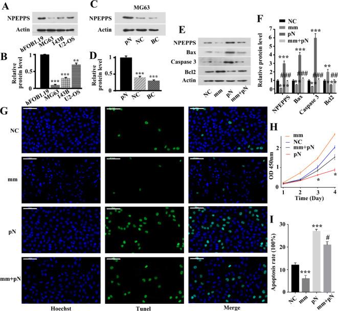 https://cdn.ncbi.nlm.nih.gov/pmc/blobs/dd7b/11754436/347c90263128/41598_2025_87246_Fig6_HTML.jpg