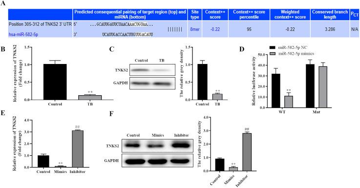 https://cdn.ncbi.nlm.nih.gov/pmc/blobs/dd7e/8841633/7d8856df1ef9/10.1177_17534259211064285-fig4.jpg