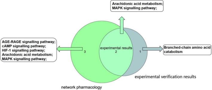https://cdn.ncbi.nlm.nih.gov/pmc/blobs/dd7e/9548373/23b0b6d0f196/FSN3-10-3380-g004.jpg