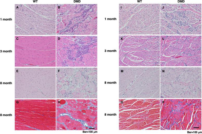 https://cdn.ncbi.nlm.nih.gov/pmc/blobs/dd7f/9580129/312c567d1f32/13395_2022_307_Fig2_HTML.jpg