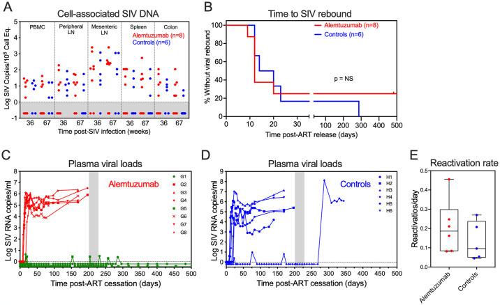 https://cdn.ncbi.nlm.nih.gov/pmc/blobs/dd81/11373844/24859a635bdc/ppat.1012496.g006.jpg