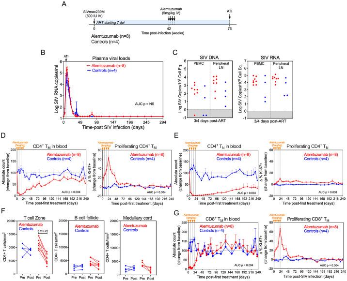 https://cdn.ncbi.nlm.nih.gov/pmc/blobs/dd81/11373844/41b42a655229/ppat.1012496.g003.jpg