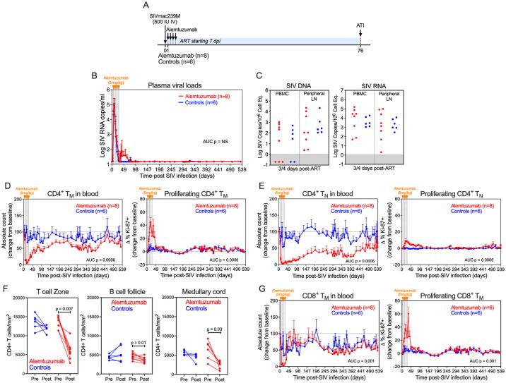https://cdn.ncbi.nlm.nih.gov/pmc/blobs/dd81/11373844/65fee98a3e6d/ppat.1012496.g005.jpg