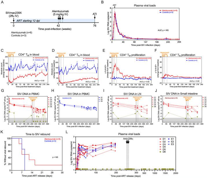 https://cdn.ncbi.nlm.nih.gov/pmc/blobs/dd81/11373844/b3225ccc4285/ppat.1012496.g002.jpg