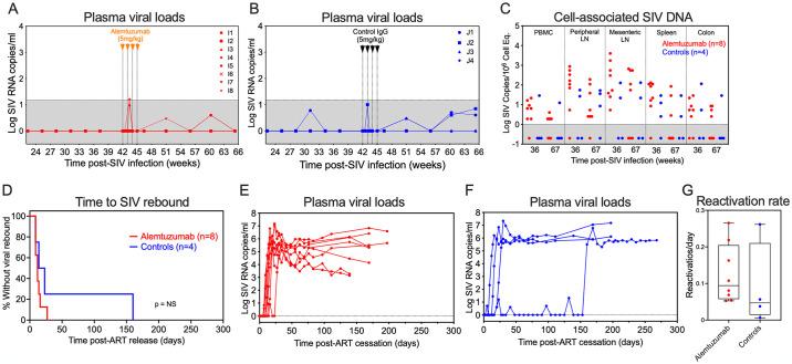 https://cdn.ncbi.nlm.nih.gov/pmc/blobs/dd81/11373844/e8738a05d9bd/ppat.1012496.g004.jpg