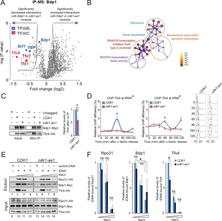https://cdn.ncbi.nlm.nih.gov/pmc/blobs/dd85/6294503/5b4f1d34d339/gky846fig4.jpg