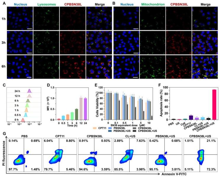 https://cdn.ncbi.nlm.nih.gov/pmc/blobs/dd8b/10763105/a46b76ebf09e/12951_2023_2195_Fig4_HTML.jpg
