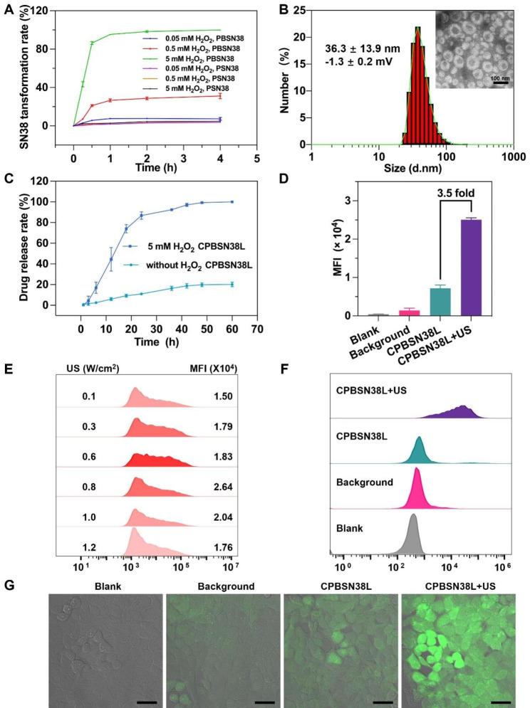 https://cdn.ncbi.nlm.nih.gov/pmc/blobs/dd8b/10763105/b92e1628c0d4/12951_2023_2195_Fig3_HTML.jpg