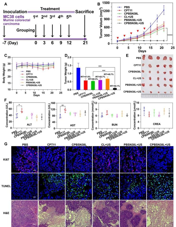 https://cdn.ncbi.nlm.nih.gov/pmc/blobs/dd8b/10763105/e39a6df589b7/12951_2023_2195_Fig5_HTML.jpg