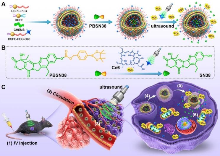 https://cdn.ncbi.nlm.nih.gov/pmc/blobs/dd8b/10763105/e46e1947ea62/12951_2023_2195_Fig2_HTML.jpg