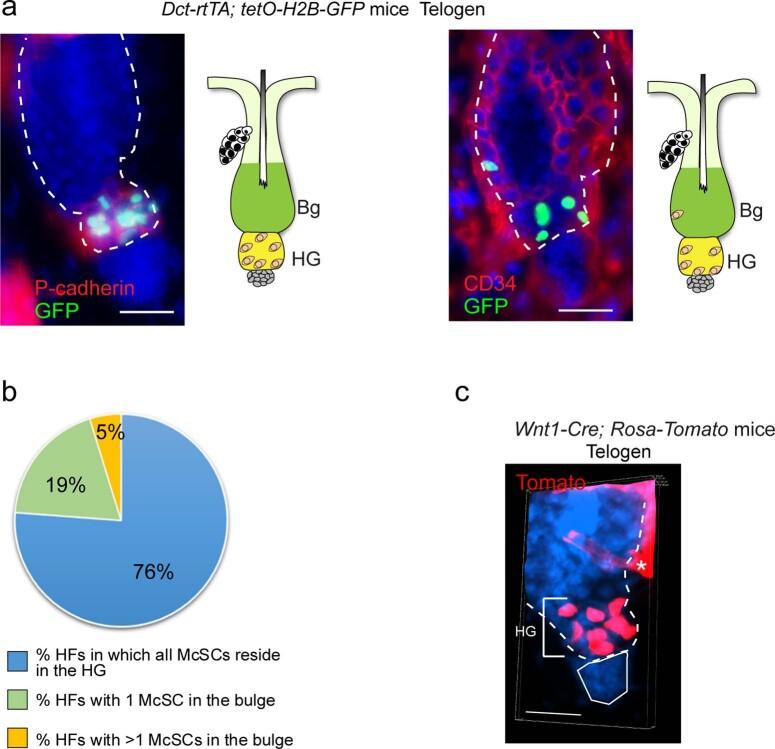 https://cdn.ncbi.nlm.nih.gov/pmc/blobs/dd8c/10132989/55b7f9c61f83/41586_2023_5960_Fig5_ESM.jpg