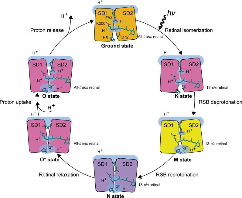 https://cdn.ncbi.nlm.nih.gov/pmc/blobs/dd8c/12002130/26f5f92e1326/sciadv.adu5303-f8.jpg