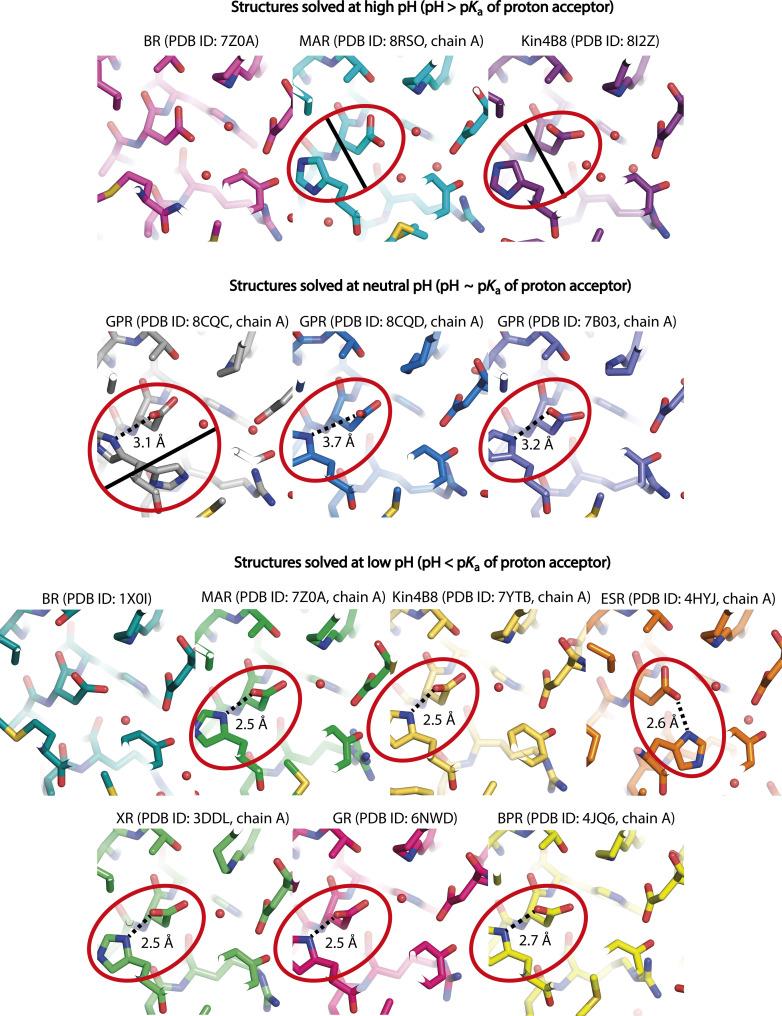 https://cdn.ncbi.nlm.nih.gov/pmc/blobs/dd8c/12002130/9b8128d8e68d/sciadv.adu5303-f4.jpg
