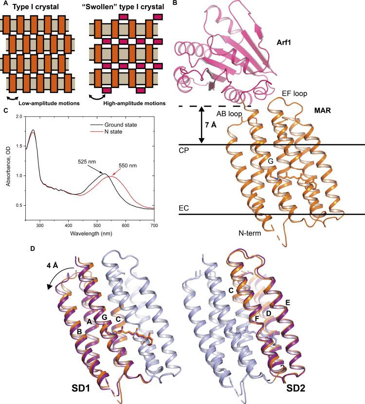 https://cdn.ncbi.nlm.nih.gov/pmc/blobs/dd8c/12002130/b19e16ff4253/sciadv.adu5303-f6.jpg