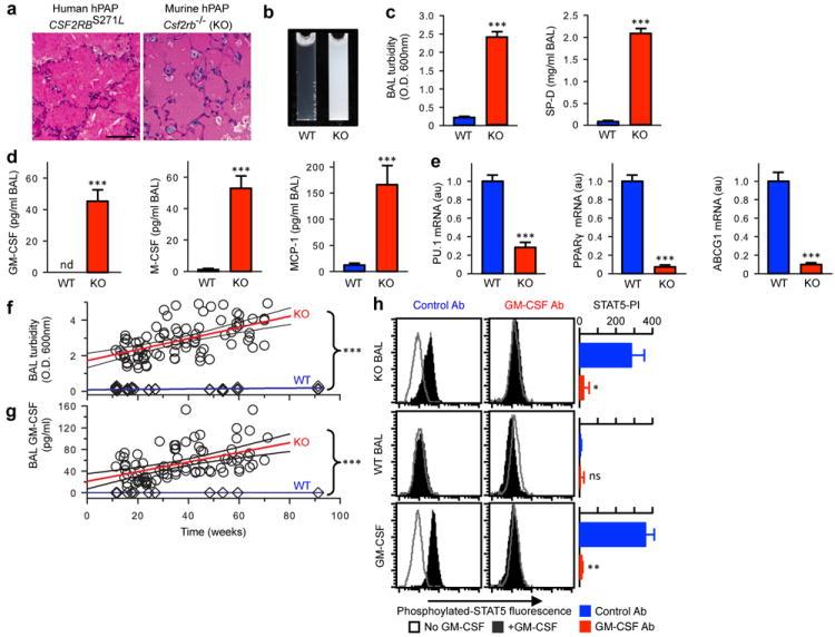 https://cdn.ncbi.nlm.nih.gov/pmc/blobs/dd8d/4236859/11fbf014a25f/nihms625265f7.jpg