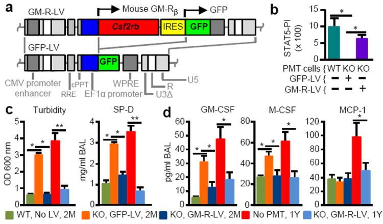 https://cdn.ncbi.nlm.nih.gov/pmc/blobs/dd8d/4236859/782469bc91e4/nihms625265f5.jpg