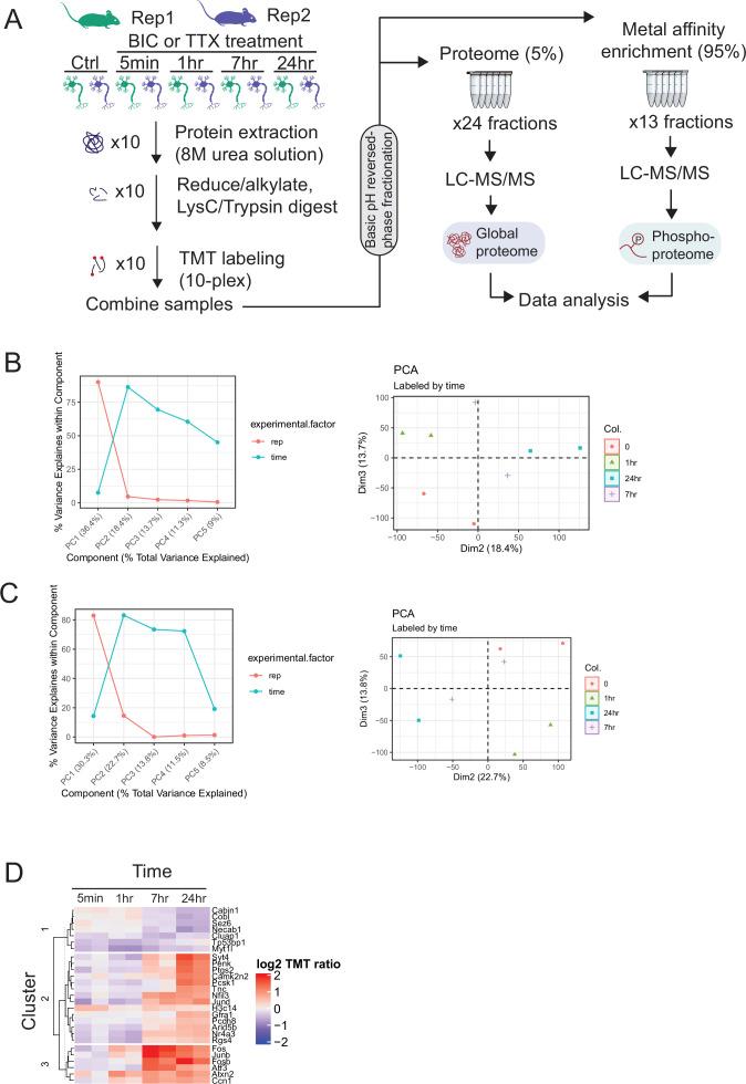 https://cdn.ncbi.nlm.nih.gov/pmc/blobs/dd8f/9084893/0e1c6c4469c2/elife-74277-fig1-figsupp1.jpg