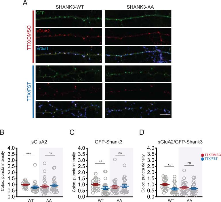 https://cdn.ncbi.nlm.nih.gov/pmc/blobs/dd8f/9084893/ad338759b1f2/elife-74277-fig7.jpg