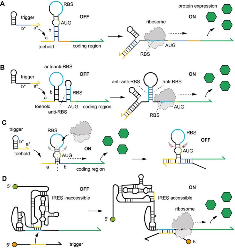 https://cdn.ncbi.nlm.nih.gov/pmc/blobs/dd91/10132225/eea33122de99/KRNB_A_2204565_F0003_OC.jpg