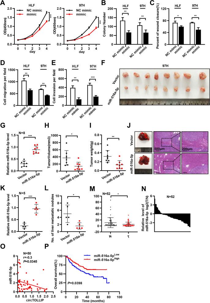 https://cdn.ncbi.nlm.nih.gov/pmc/blobs/dd91/9069765/30abe9b665b4/13046_2022_2378_Fig5_HTML.jpg