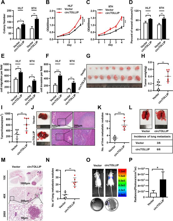 https://cdn.ncbi.nlm.nih.gov/pmc/blobs/dd91/9069765/8d147520f4b7/13046_2022_2378_Fig2_HTML.jpg