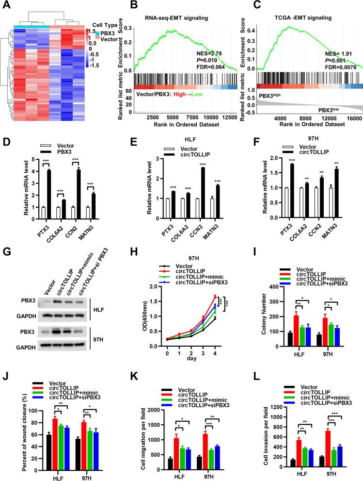 https://cdn.ncbi.nlm.nih.gov/pmc/blobs/dd91/9069765/cb86b5935993/13046_2022_2378_Fig7_HTML.jpg