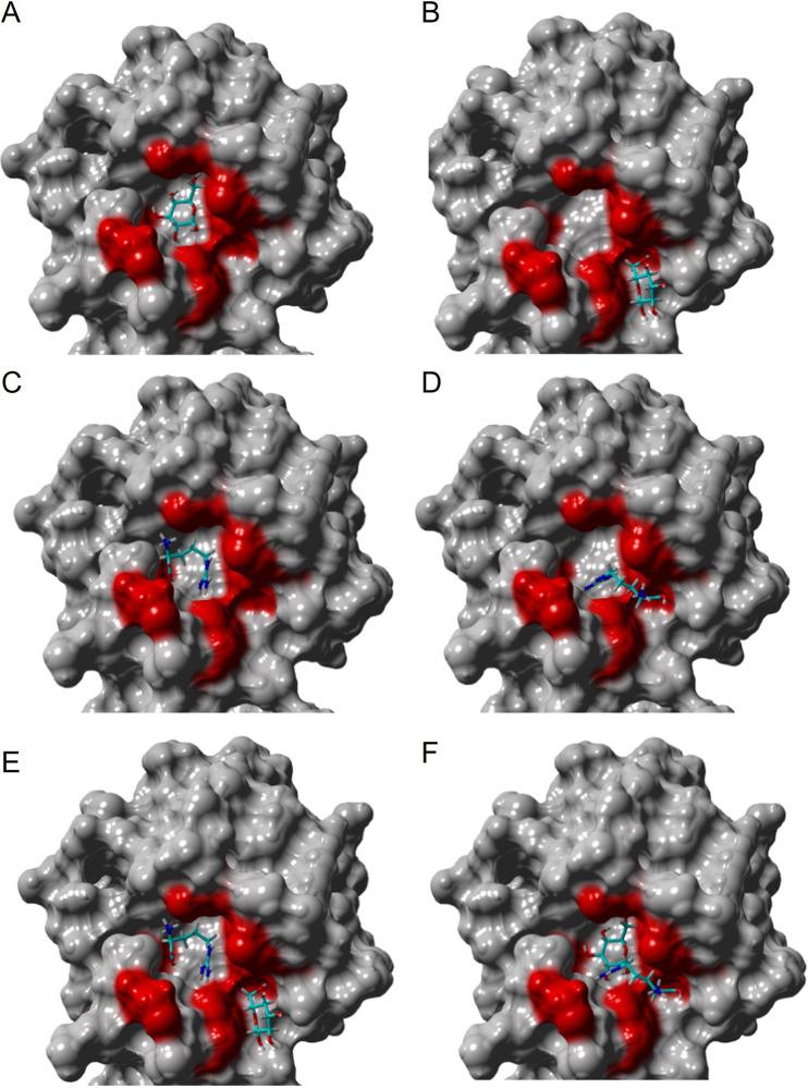 https://cdn.ncbi.nlm.nih.gov/pmc/blobs/dd91/9769880/96cd59a9e4c1/spectrum.03646-22-f005.jpg