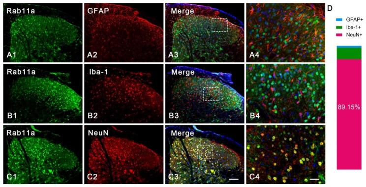 https://cdn.ncbi.nlm.nih.gov/pmc/blobs/dd92/10537208/9fec3764360a/13041_2023_1057_Fig1_HTML.jpg