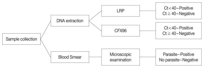 https://cdn.ncbi.nlm.nih.gov/pmc/blobs/dd92/7939964/791e47be98df/kjp-59-1-77f1.jpg