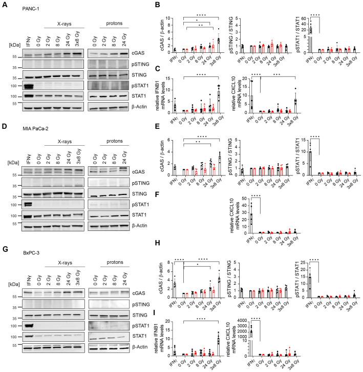 https://cdn.ncbi.nlm.nih.gov/pmc/blobs/dd93/11449851/8958009ae746/fimmu-15-1286942-g003.jpg