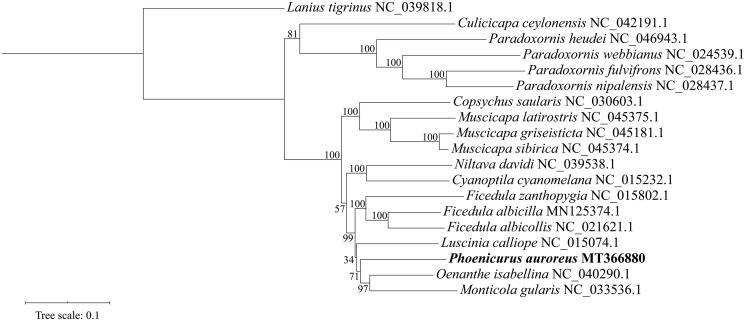 https://cdn.ncbi.nlm.nih.gov/pmc/blobs/dd93/7510608/8e549b7d455f/TMDN_A_1770139_F0001_B.jpg