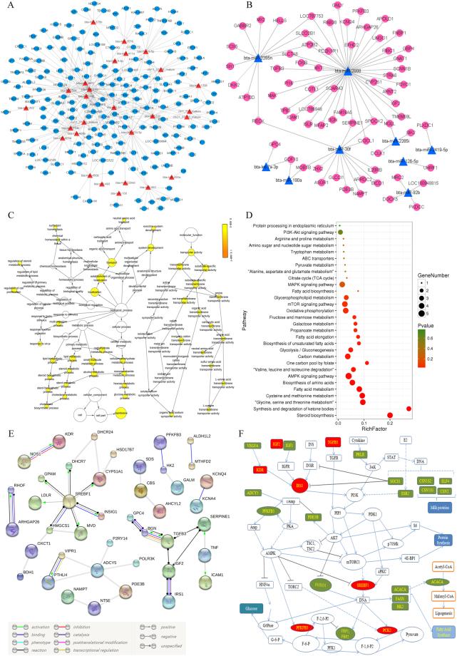 https://cdn.ncbi.nlm.nih.gov/pmc/blobs/dd94/5908868/8924fd718c19/41598_2018_24727_Fig5_HTML.jpg
