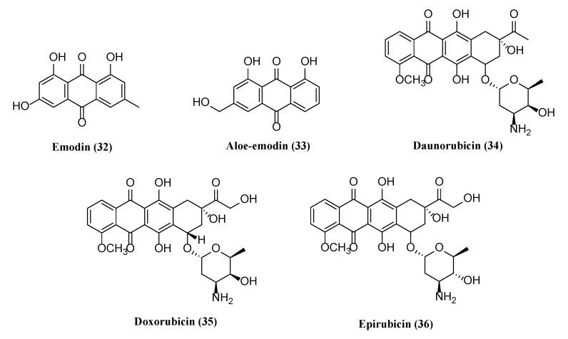 https://cdn.ncbi.nlm.nih.gov/pmc/blobs/dd94/8541008/19144acb5858/molecules-26-06290-g005.jpg