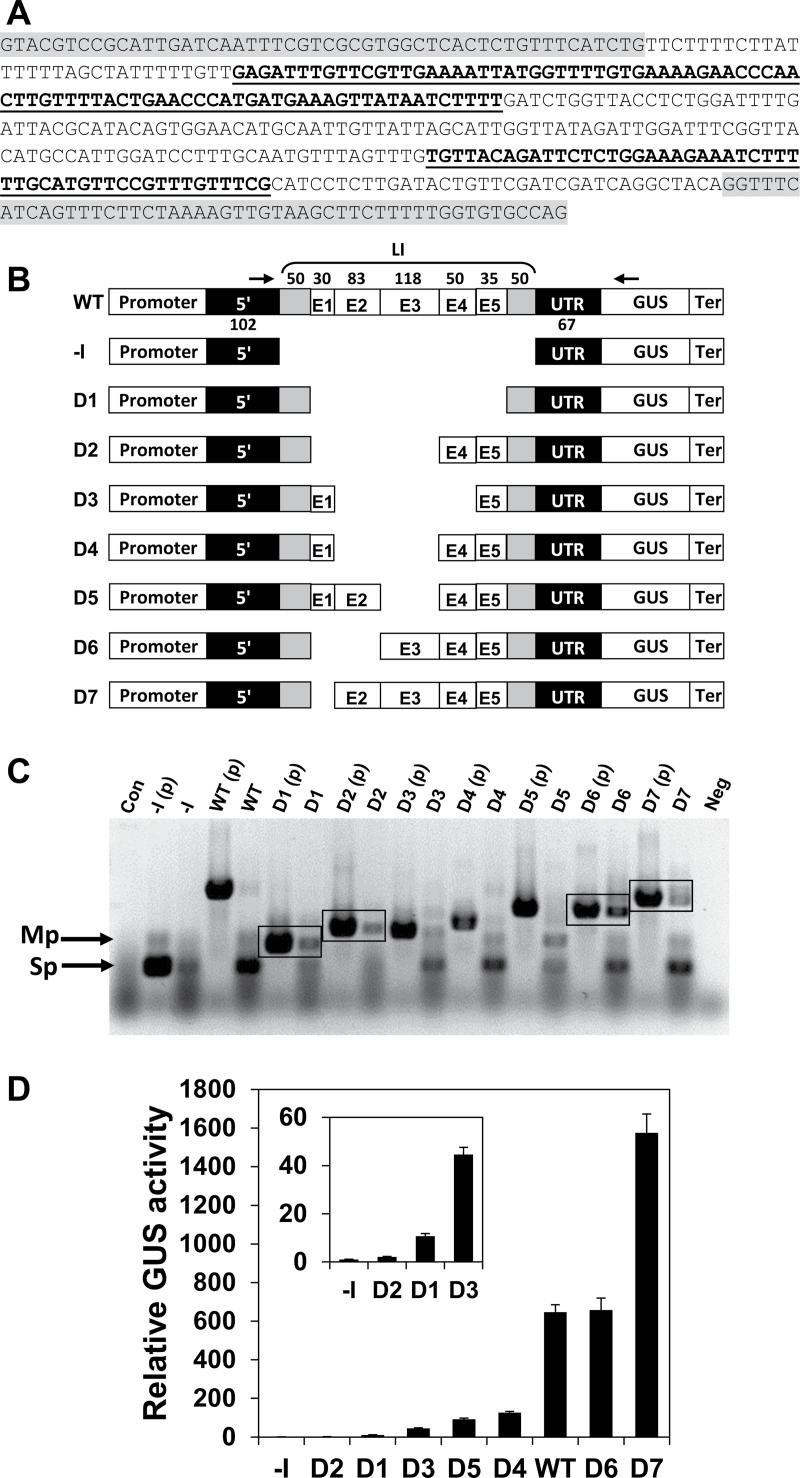 https://cdn.ncbi.nlm.nih.gov/pmc/blobs/dd95/3808313/6322bd85deb6/exbotj_ert235_f0001.jpg