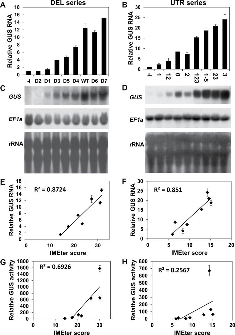 https://cdn.ncbi.nlm.nih.gov/pmc/blobs/dd95/3808313/72ec236d5b66/exbotj_ert235_f0003.jpg