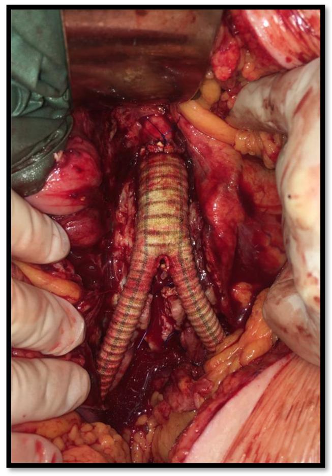 https://cdn.ncbi.nlm.nih.gov/pmc/blobs/dd95/8944627/0567ea61cb08/antibiotics-11-00386-g002.jpg