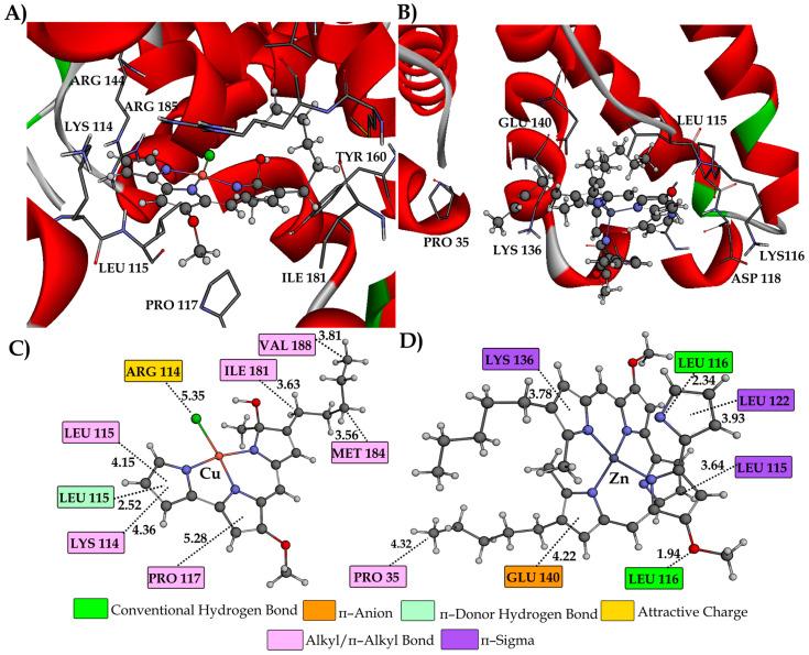 https://cdn.ncbi.nlm.nih.gov/pmc/blobs/dd96/11313072/01dc92dd9093/ijms-25-08395-g005.jpg