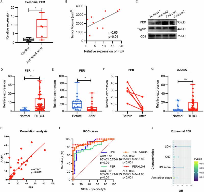 https://cdn.ncbi.nlm.nih.gov/pmc/blobs/dd96/12289941/2444bfd9493d/41698_2025_1049_Fig5_HTML.jpg