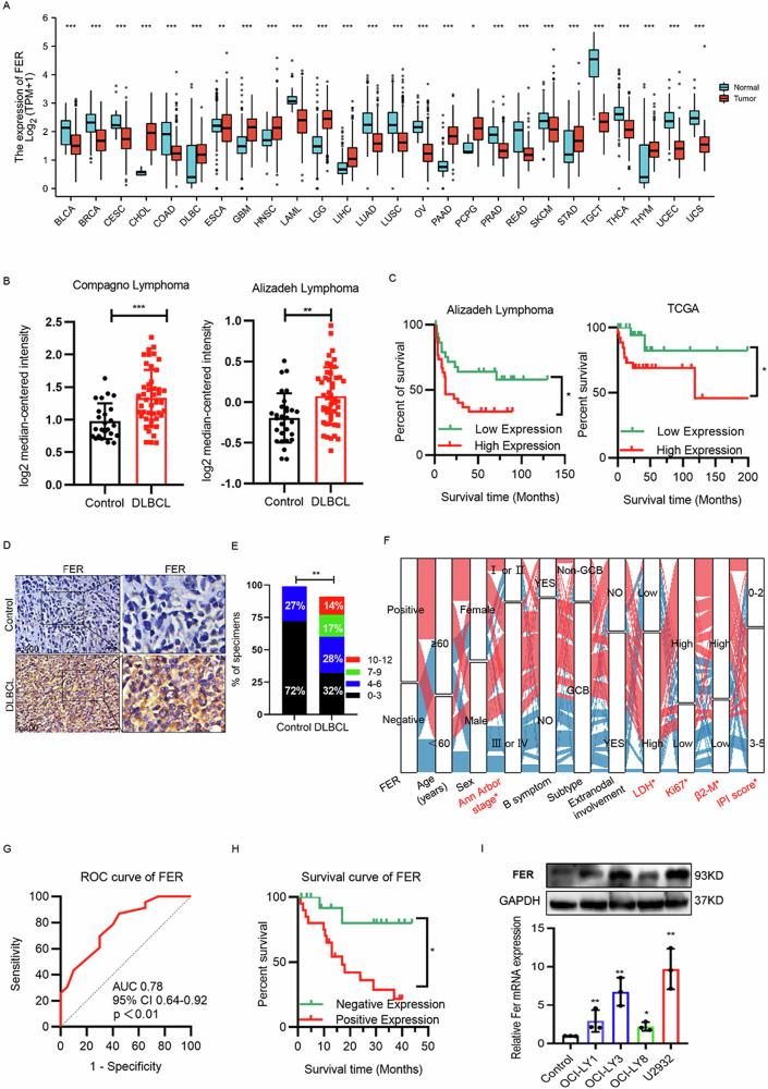https://cdn.ncbi.nlm.nih.gov/pmc/blobs/dd96/12289941/55454b21196f/41698_2025_1049_Fig1_HTML.jpg