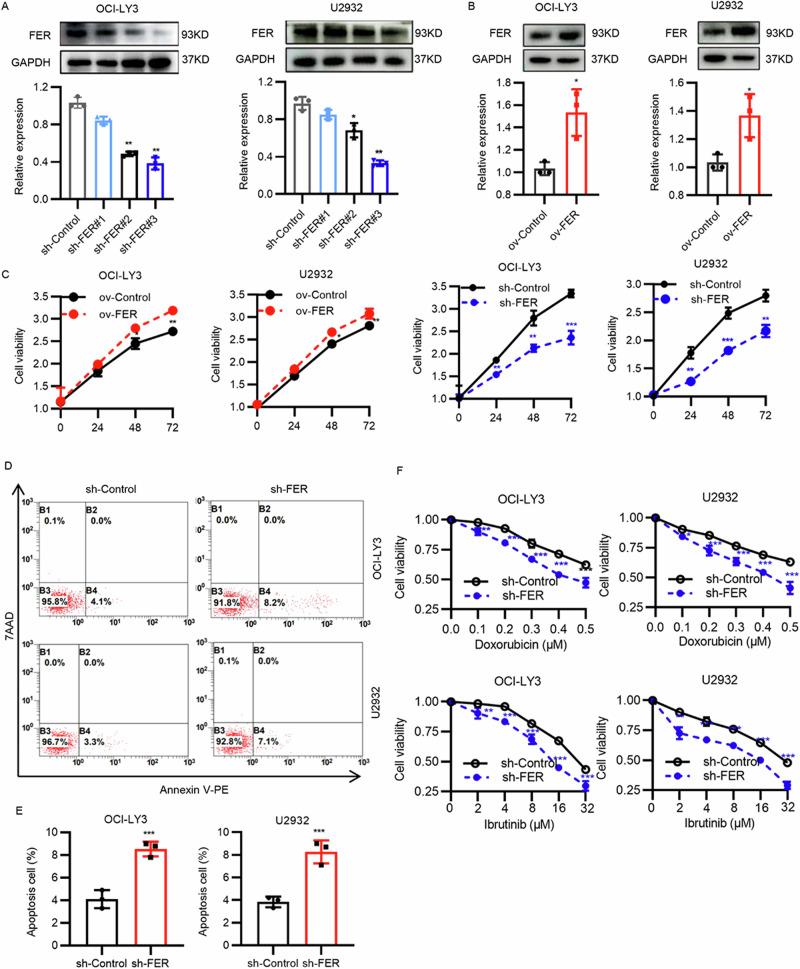 https://cdn.ncbi.nlm.nih.gov/pmc/blobs/dd96/12289941/9556c1cf34ab/41698_2025_1049_Fig2_HTML.jpg