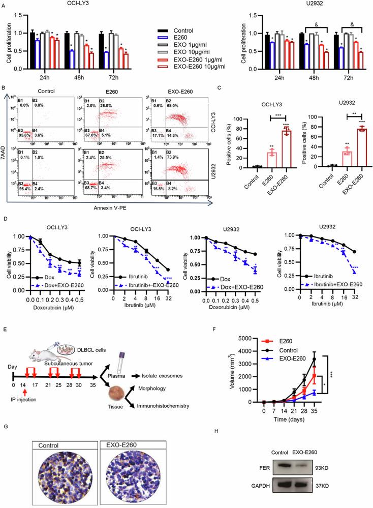 https://cdn.ncbi.nlm.nih.gov/pmc/blobs/dd96/12289941/d24e6d24fdf8/41698_2025_1049_Fig3_HTML.jpg