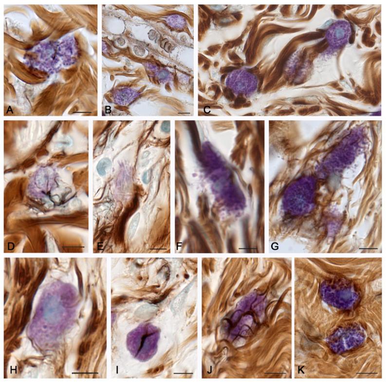 https://cdn.ncbi.nlm.nih.gov/pmc/blobs/dd98/10059032/7b5804c9efcb/pharmaceuticals-16-00348-g004.jpg