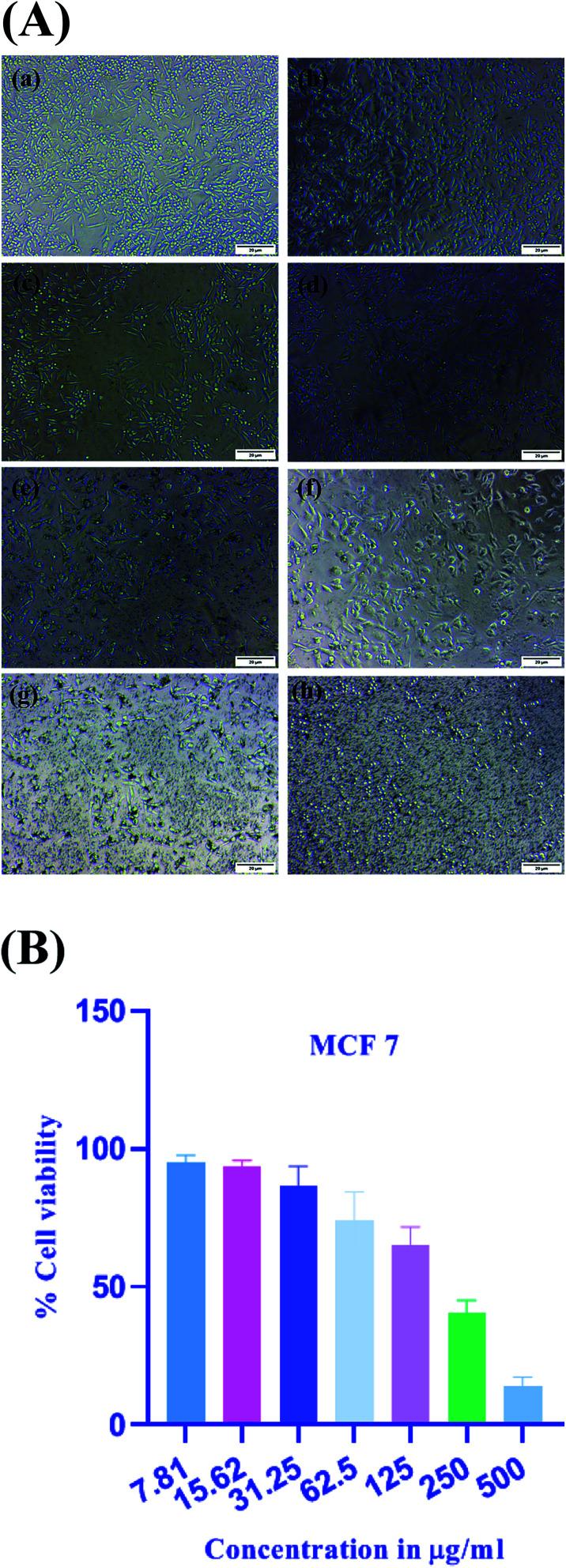 https://cdn.ncbi.nlm.nih.gov/pmc/blobs/dd98/9036961/00fb0f0bd0cc/d1ra03133c-f11.jpg