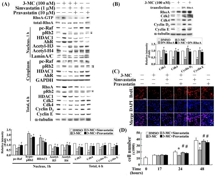 https://cdn.ncbi.nlm.nih.gov/pmc/blobs/dd9b/3962457/167f37b0ac3d/pone.0092793.g007.jpg
