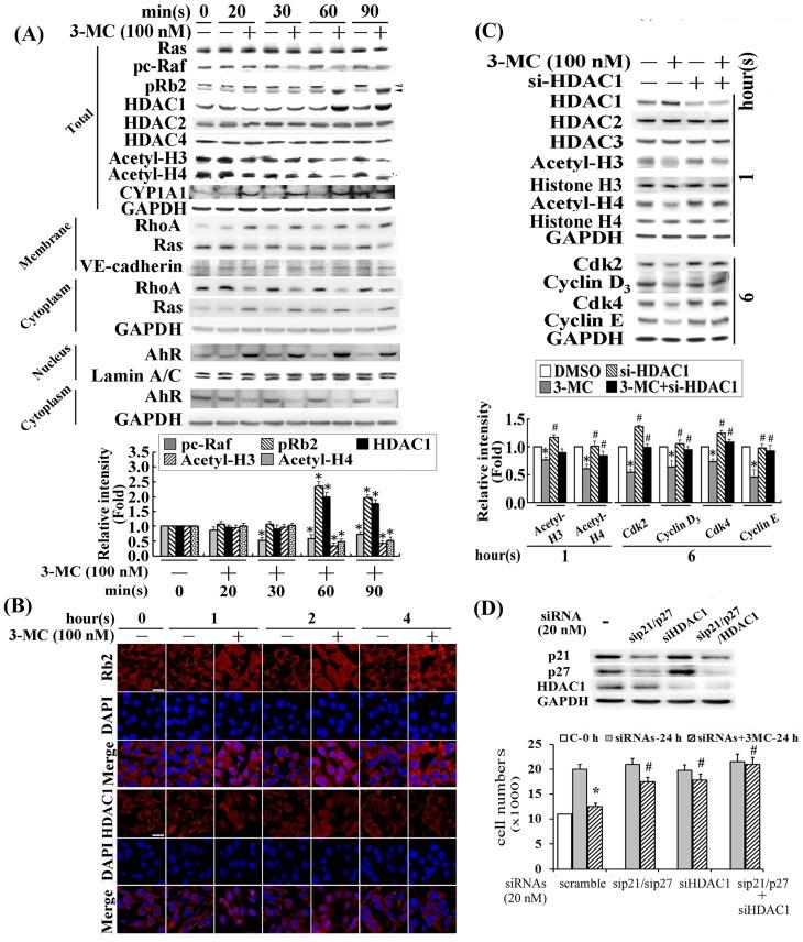 https://cdn.ncbi.nlm.nih.gov/pmc/blobs/dd9b/3962457/3ed3b35cb842/pone.0092793.g002.jpg