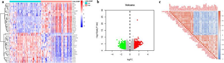https://cdn.ncbi.nlm.nih.gov/pmc/blobs/dda1/12355831/94995333c712/13019_2025_3462_Fig7_HTML.jpg