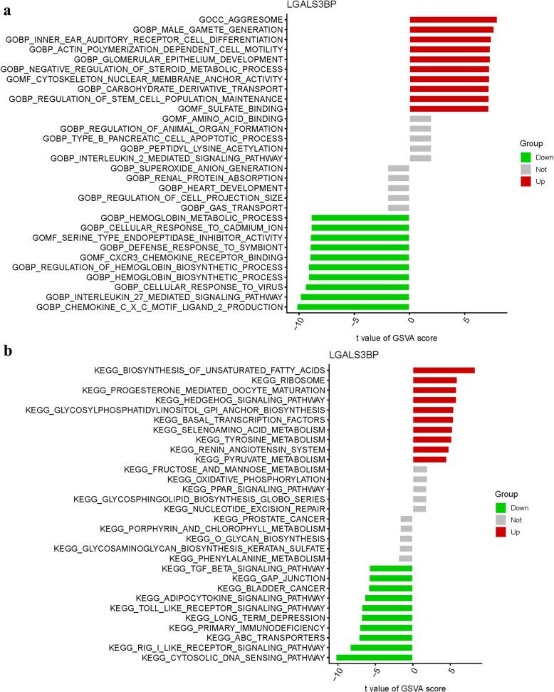https://cdn.ncbi.nlm.nih.gov/pmc/blobs/dda1/12355831/dab9954a39c2/13019_2025_3462_Fig10_HTML.jpg
