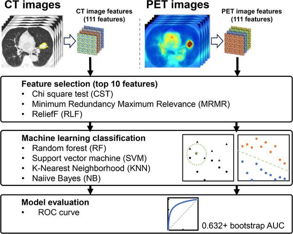 https://cdn.ncbi.nlm.nih.gov/pmc/blobs/dda2/11244675/ee15cd366153/ACM2-25-e14322-g002.jpg