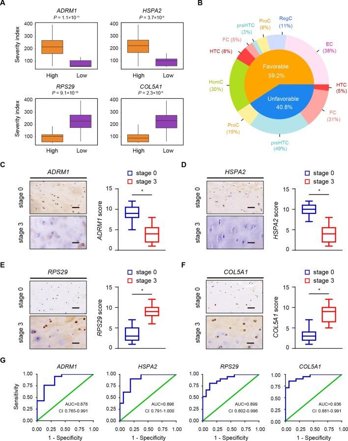 https://cdn.ncbi.nlm.nih.gov/pmc/blobs/dda2/6317448/119581af3d47/annrheumdis-2017-212863f06.jpg
