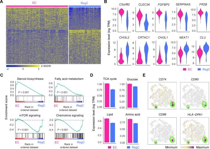 https://cdn.ncbi.nlm.nih.gov/pmc/blobs/dda2/6317448/30343f1aead7/annrheumdis-2017-212863f03.jpg